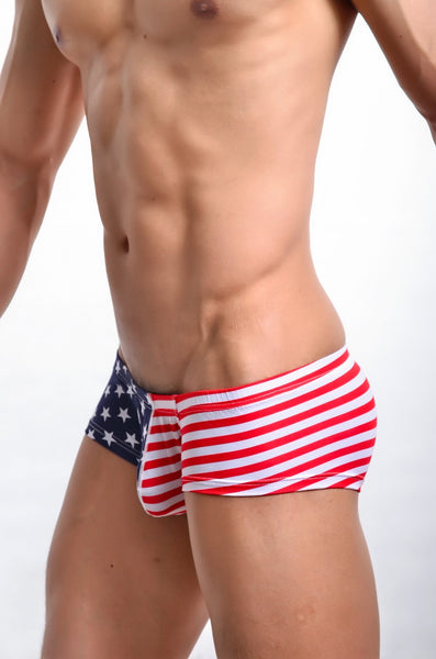 Sexy Bóxer Trunks de Barras y Estrellas Ricardo Milos USA Estados Unidos Star Stripes para Hombre VGT-USA-BXR